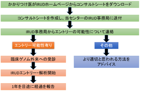 IRUDエントリーの流れ