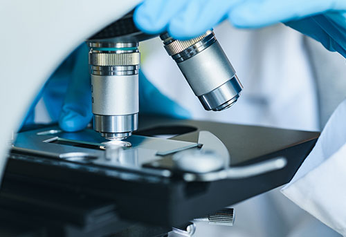 未診断疾患、難病