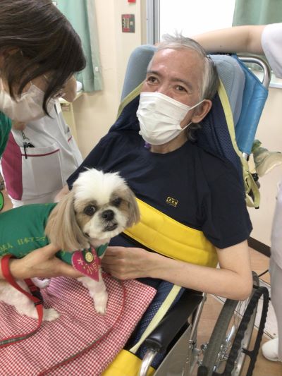 いやしのひととき