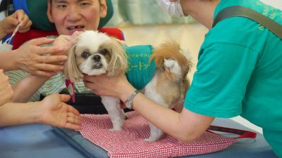 頭をなでてもらうあずきちゃん