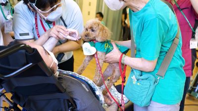 ベテランセラピードッグのホタルちゃん