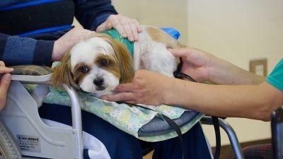 くつろぐ ごん太くん